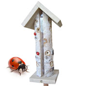 kit biodiversite- special coccinelles - caillard